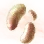 Mysterious Ancient Mushroom Hypha