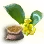Mysterious Dalvenia Alrea Seed