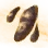 Mysterious Bouqet Mushroom Hypha