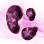 Mysterious Purple Mushroom Hypha