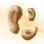 Mysterious Pie Mushroom Hypha