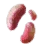 Emperor Mushroom Hypha