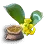 Dalvenia Alrea Seed