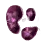 Special Purple Mushroom Hypha