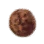 Bumpy Seed