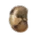 Greasy Seed
