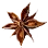 Star Anise