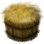 Magical Haystack