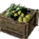 Olive Crate