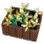 Everlasting Herb Crate