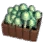 Truffle Mushroom Crate