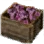 Pink Trumpet Mushroom Box