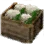White Flower Mushroom Box