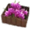 Purple Pink Flower Crate
