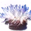 Oquilla's Flower