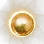 Golden Terrmina