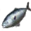 Amberjack