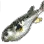 Swellfish