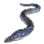 Freshwater Eel