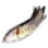 Snakehead