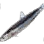 Silver-Stripe Round Herring