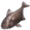 Blackfin Sweeper