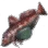 Gurnard