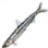 [Event] Chilly Smelt