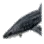 Whale Shark
