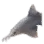 Saw Shark