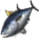 Mackerel Tuna