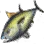 Yellowfin Tuna