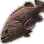 Giant Grouper