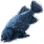 Blue Grouper