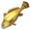 Bahaba