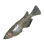 Minnow
