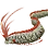 Giant Oarfish