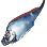 Ribbonfish