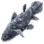 Plump Coelacanth