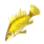 Golden Siniperca