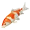 Koi