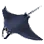 Devil Ray