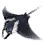Manta Ray