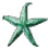 Blue Bat Star