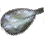 Dried Mudskipper