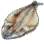 Dried Soho Bitterling