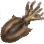Dried Cuttlefish