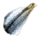 Dried Grass Carp