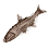 Dried Sharpbelly