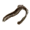 Dried Lamprey
